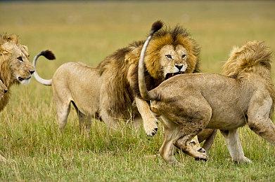 《最终幻想7》重制版三部曲开发团队或将开发主系列《最终幻想》游戏