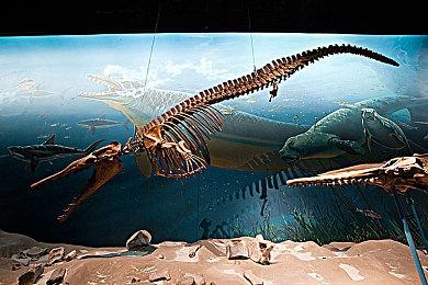 科隆未来游戏展：末世生存《洪泛》发布首支预告